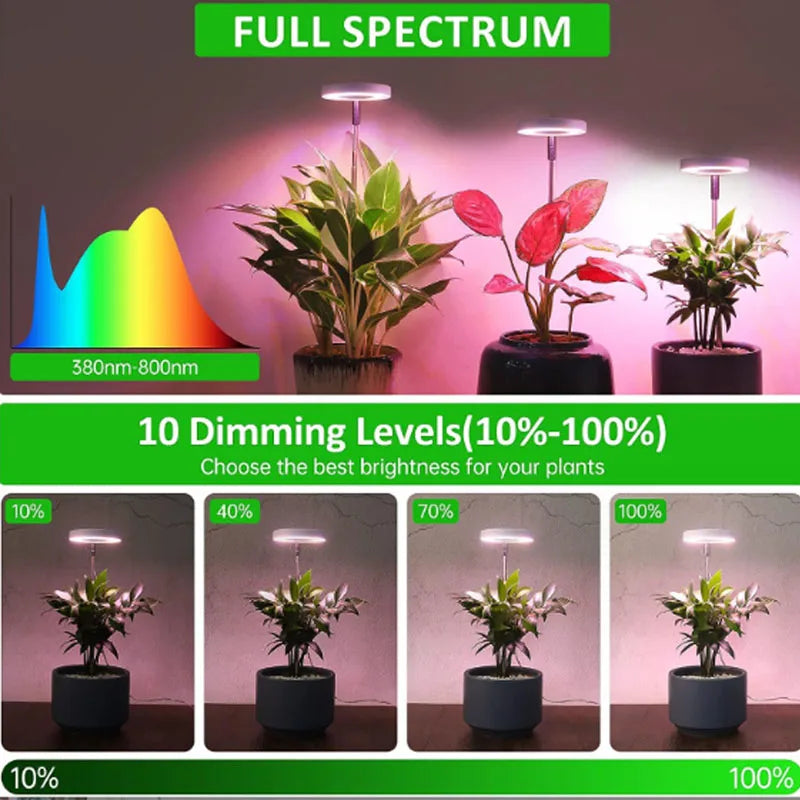 Adjustable Full Spectrum LED Grow Light with Timer – Dimmable Hydroponics Lamp for Indoor Plant Growth