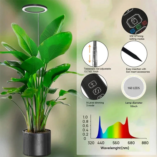 Height-Adjustable 165cm Full Spectrum LED Grow Light for Indoor Plants – USB-Powered Grow Light